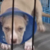 processed/d008a694-48a6-4627-aa56-3332f8210192/listing/7536f27d-ae4a-4cc1-aca3-e8409cda29aa/b5aa8fad-0ea6-4c39-be99-7f0cd281ca74