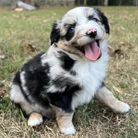 processed/d00f631d-9793-43c3-8709-ccacb34d3cc6/facility/0f0ef78e-1236-47e1-956e-2842e8a5f533