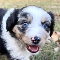 processed/d00f631d-9793-43c3-8709-ccacb34d3cc6/facility/1f8aa272-3baf-462a-bf4f-c4274b18eb2c