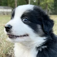 processed/d00f631d-9793-43c3-8709-ccacb34d3cc6/facility/50d0b593-e9fa-4036-a34e-dc70d9a361f2