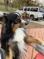 processed/d00f631d-9793-43c3-8709-ccacb34d3cc6/facility/6ccb235e-2e96-4179-bad9-54993a985b8f