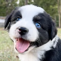 processed/d00f631d-9793-43c3-8709-ccacb34d3cc6/facility/9f5f7ab7-c5a0-433d-836e-bf7edd800580