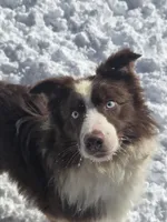 processed/d012ad1e-15ca-4f78-a1e7-3e9d1fef438a/facility/1bceef1a-7eba-4cb8-b804-14dbc3b3c352