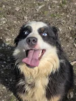 processed/d012ad1e-15ca-4f78-a1e7-3e9d1fef438a/facility/422d2e49-72ac-4833-b39e-2d343d2f8e39