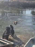 processed/d012ad1e-15ca-4f78-a1e7-3e9d1fef438a/facility/6593280c-594e-45c7-b7e4-7020cd6105fd