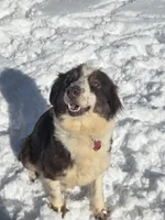 processed/d012ad1e-15ca-4f78-a1e7-3e9d1fef438a/facility/aa5e5fff-6117-45c1-8723-45f7746cc07d