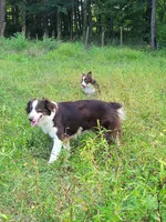 processed/d012ad1e-15ca-4f78-a1e7-3e9d1fef438a/facility/f4bff890-44a9-4df1-980f-fc22e79427d8