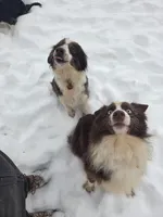 processed/d012ad1e-15ca-4f78-a1e7-3e9d1fef438a/facility/fcd79aa1-15d1-41e1-83a5-d914547b76d4