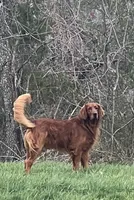 processed/d0189e9d-98fb-4c42-964c-6cc8172394a6/facility/1e60bad3-6178-4426-ade2-54a87507aeca