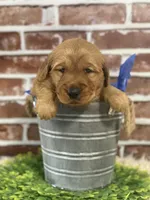 processed/d0189e9d-98fb-4c42-964c-6cc8172394a6/facility/7cb29253-84f8-4d19-87af-a2551676d843