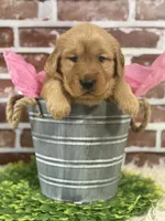 processed/d0189e9d-98fb-4c42-964c-6cc8172394a6/facility/7df0168f-58cb-48b6-ac13-121d21701b2e