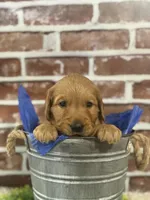 processed/d0189e9d-98fb-4c42-964c-6cc8172394a6/facility/817ee807-aff2-497b-890c-1396d264eac4