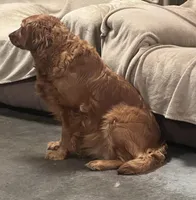 processed/d0189e9d-98fb-4c42-964c-6cc8172394a6/facility/9a9ccfe1-0e51-4add-8b8d-b8b10e163f6a