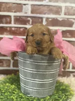 processed/d0189e9d-98fb-4c42-964c-6cc8172394a6/facility/aeacf4e4-c15e-4c2e-bfde-5556dfd4c703