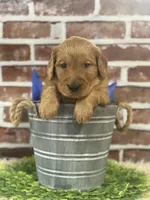 processed/d0189e9d-98fb-4c42-964c-6cc8172394a6/facility/b364eae5-30e8-4510-af79-9de00747f694