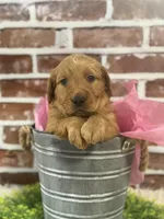 processed/d0189e9d-98fb-4c42-964c-6cc8172394a6/facility/bc2d092b-07c8-4da8-8c4b-2d56ad85a398