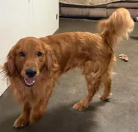 processed/d0189e9d-98fb-4c42-964c-6cc8172394a6/facility/d75d4a18-aa2d-4cec-bc4a-caaf9e1ead32