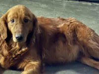 processed/d0189e9d-98fb-4c42-964c-6cc8172394a6/facility/f858cdee-0d12-406f-98cc-b9a086103a0b