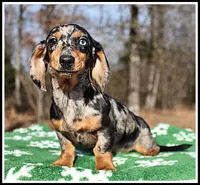 processed/d01f0b58-b642-4781-b279-fb329ef0f5f3/listing/14e1df7a-60d5-43dc-8adc-da34e65a0b2b/547976ec-6e59-4dfd-91a2-2da0d5a5ea3f