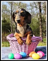 processed/d01f0b58-b642-4781-b279-fb329ef0f5f3/listing/14e1df7a-60d5-43dc-8adc-da34e65a0b2b/9123a2c7-5434-498e-b001-f116d5fa4cd5