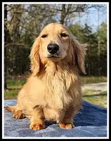 processed/d01f0b58-b642-4781-b279-fb329ef0f5f3/listing/59d0e080-a1b6-4360-b50e-8b5518775d68/01b03354-cbdf-4618-91bf-baf3e5df94a9