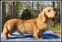 processed/d01f0b58-b642-4781-b279-fb329ef0f5f3/listing/59d0e080-a1b6-4360-b50e-8b5518775d68/49096f22-78c7-40c4-969d-fd60aa562d5f