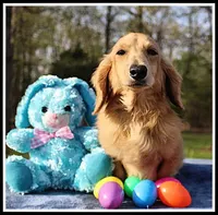 processed/d01f0b58-b642-4781-b279-fb329ef0f5f3/listing/59d0e080-a1b6-4360-b50e-8b5518775d68/525cec82-3d33-438b-955e-b308e34ab812