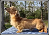 processed/d01f0b58-b642-4781-b279-fb329ef0f5f3/listing/59d0e080-a1b6-4360-b50e-8b5518775d68/60bb2ede-e383-4b0d-8681-5f8c60f402e8