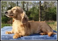 processed/d01f0b58-b642-4781-b279-fb329ef0f5f3/listing/59d0e080-a1b6-4360-b50e-8b5518775d68/8c840d2d-2757-44b6-9140-9564682f5d1d