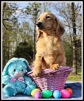 processed/d01f0b58-b642-4781-b279-fb329ef0f5f3/listing/59d0e080-a1b6-4360-b50e-8b5518775d68/94269249-00f6-48ae-b407-2ee319ff4a31