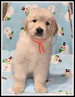 processed/d01f0b58-b642-4781-b279-fb329ef0f5f3/listing/7840b112-60a1-4e40-9009-2e22c446b1c4/03feb79c-20f2-44cd-b0b4-f2056a9bc702