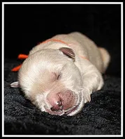 processed/d01f0b58-b642-4781-b279-fb329ef0f5f3/listing/7840b112-60a1-4e40-9009-2e22c446b1c4/1973b3bb-ac6a-42b4-938a-0bd575f4d593