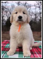 processed/d01f0b58-b642-4781-b279-fb329ef0f5f3/listing/7840b112-60a1-4e40-9009-2e22c446b1c4/21265223-d9b4-4597-af29-0463ba32836b