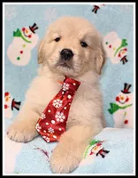 processed/d01f0b58-b642-4781-b279-fb329ef0f5f3/listing/7840b112-60a1-4e40-9009-2e22c446b1c4/4a2ed645-4fc1-4376-afe3-24a0b39712a4