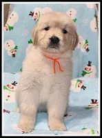 processed/d01f0b58-b642-4781-b279-fb329ef0f5f3/listing/7840b112-60a1-4e40-9009-2e22c446b1c4/69a6ddda-0ee2-41d1-99e6-823e914b0875