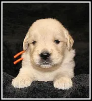 processed/d01f0b58-b642-4781-b279-fb329ef0f5f3/listing/7840b112-60a1-4e40-9009-2e22c446b1c4/93f4d8bd-4d0c-465e-8c42-7a13c996008f