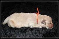 processed/d01f0b58-b642-4781-b279-fb329ef0f5f3/listing/7840b112-60a1-4e40-9009-2e22c446b1c4/da366631-cce5-4647-b956-742db1dcb730