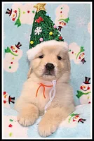 processed/d01f0b58-b642-4781-b279-fb329ef0f5f3/listing/7840b112-60a1-4e40-9009-2e22c446b1c4/dc989e87-6c82-4d1d-8496-d3c1936785b5