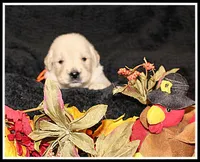 processed/d01f0b58-b642-4781-b279-fb329ef0f5f3/listing/7840b112-60a1-4e40-9009-2e22c446b1c4/f429cb5c-d16c-4fc0-84c8-e0a76f00e16c