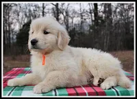 processed/d01f0b58-b642-4781-b279-fb329ef0f5f3/listing/7840b112-60a1-4e40-9009-2e22c446b1c4/fb170d30-90bd-41c3-a7d6-f8255ac9f111