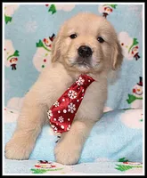 processed/d01f0b58-b642-4781-b279-fb329ef0f5f3/listing/7f6a7f99-a5d7-49c1-adfc-348d71964121/04074387-6f07-494b-aa74-77704b27c9fb