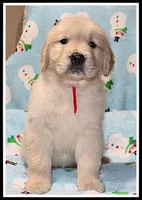 processed/d01f0b58-b642-4781-b279-fb329ef0f5f3/listing/7f6a7f99-a5d7-49c1-adfc-348d71964121/07d1111a-78be-44a6-8439-eb0b01a9aa0e