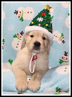 processed/d01f0b58-b642-4781-b279-fb329ef0f5f3/listing/7f6a7f99-a5d7-49c1-adfc-348d71964121/15a8877e-bf13-4c0a-9d51-3b894c0d58d2