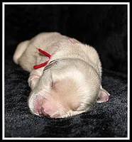 processed/d01f0b58-b642-4781-b279-fb329ef0f5f3/listing/7f6a7f99-a5d7-49c1-adfc-348d71964121/1f1f9ed6-c31b-4d5a-8960-6ab938799722