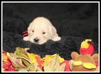 processed/d01f0b58-b642-4781-b279-fb329ef0f5f3/listing/7f6a7f99-a5d7-49c1-adfc-348d71964121/3da2c75e-5a0a-47e9-aa9a-855278e4fa9c