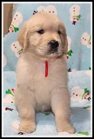 processed/d01f0b58-b642-4781-b279-fb329ef0f5f3/listing/7f6a7f99-a5d7-49c1-adfc-348d71964121/4f8f4b42-5803-4439-956b-ef7abeab662c