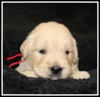 processed/d01f0b58-b642-4781-b279-fb329ef0f5f3/listing/7f6a7f99-a5d7-49c1-adfc-348d71964121/5ad71b96-be34-4f17-baa6-85ec17240de0