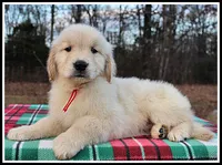 processed/d01f0b58-b642-4781-b279-fb329ef0f5f3/listing/7f6a7f99-a5d7-49c1-adfc-348d71964121/c835c34f-a54d-40af-b6f9-9611961683a3