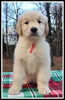 processed/d01f0b58-b642-4781-b279-fb329ef0f5f3/listing/7f6a7f99-a5d7-49c1-adfc-348d71964121/ec8a83fe-69b9-4771-9ef7-31ff3ea40acc