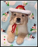 processed/d01f0b58-b642-4781-b279-fb329ef0f5f3/listing/96f743a0-997b-4091-93f4-32ed0b898d14/08d641f1-cf0e-4526-806c-f1aadb11e603